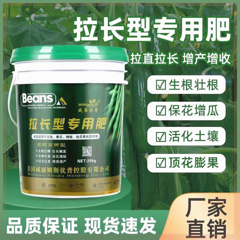 拉直长型黄瓜辣椒豆角丝