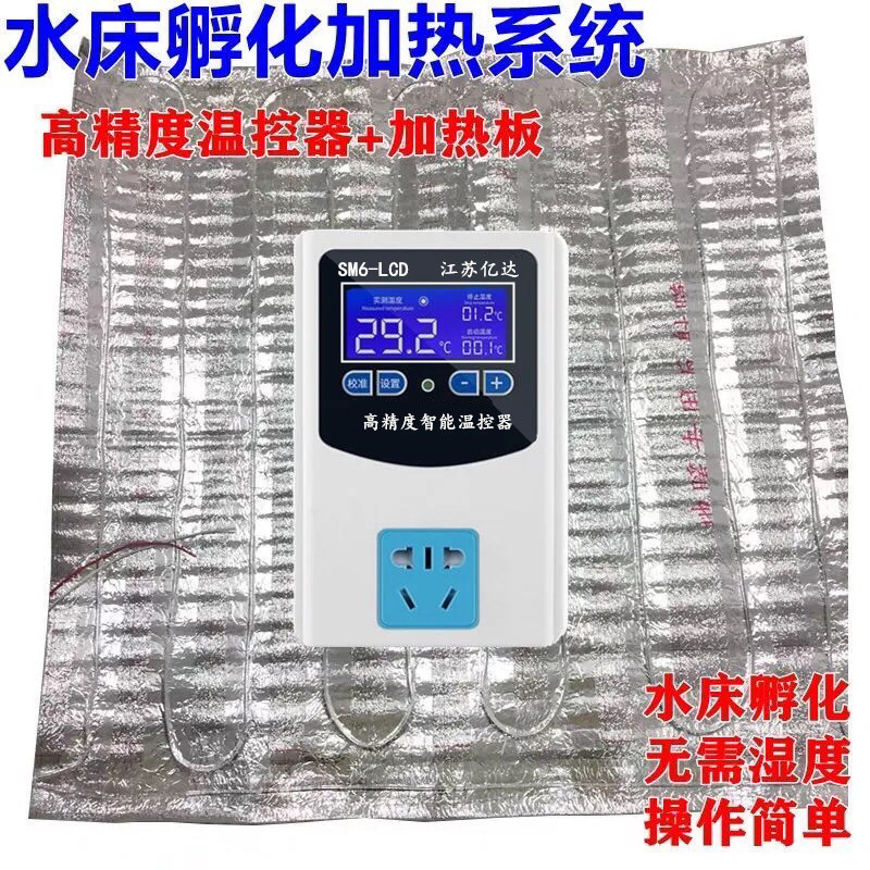 自制大型水床孵化器小鸡