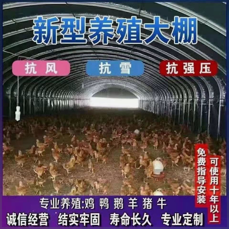养殖大棚全套骨架家用温