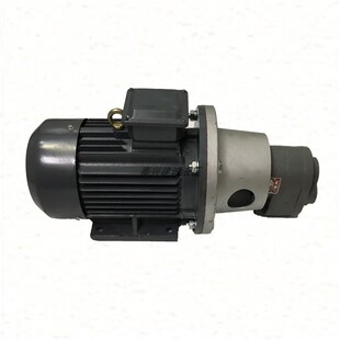 B50 B40 包邮 齿轮油泵电机润滑2. B63JZ 100JZ立卧式 新款