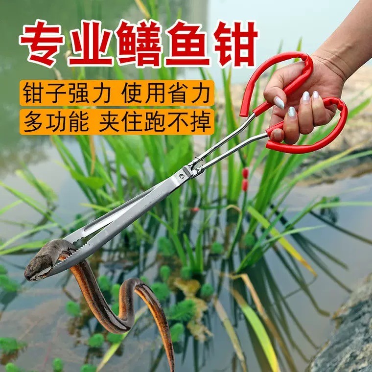 不锈钢黄鳝夹子鱼泥鳅螃