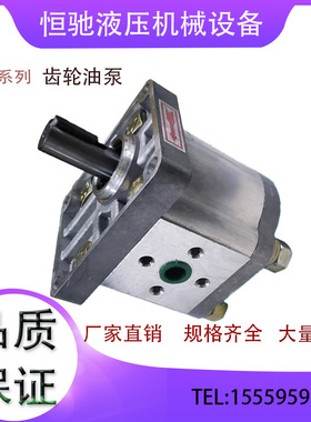 液压齿轮泵CBN-F304/CBT-F306/F310/F312/F316/F318/F320/F325