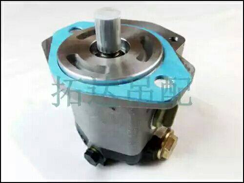 徐工吊车12吨12B.5 20B25k转向机油泵 方向机助力油泵原厂,3C数码配件,USB多功能数码宝,淘宝优惠券,粉丝福利购,淘宝优惠卷