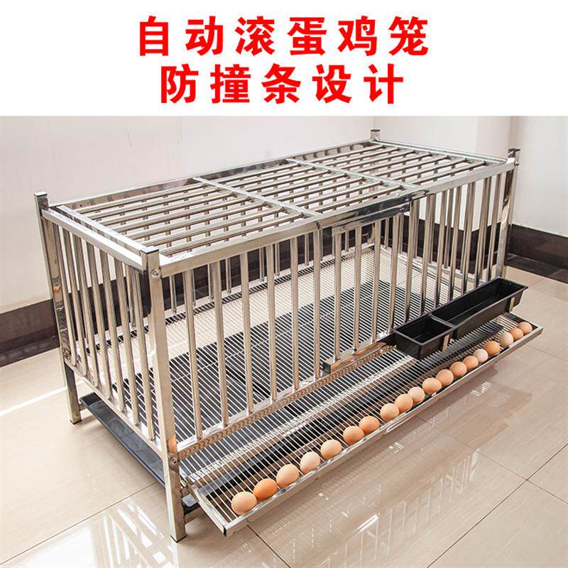不锈钢自动滚蛋鸡笼大号特大家用阳台户外可移动多层款鸡舍养厂家