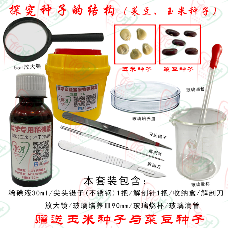 生物中考实验操作教学试