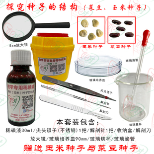 生物中考实验操作 教学试验用 探究种子结构以及萌发实验套装耗材
