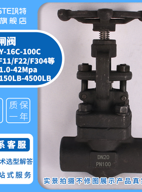 承插焊闸阀Z61H/Y-16C25C40C64C100C高温高压对焊焊接阀门DN206分
