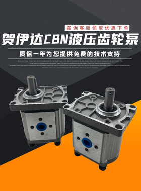 贺伊达齿轮泵 液压油泵CBN-F310 F314 F306 F320 F325 F316