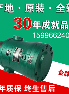 2.5MCY10MCY14-1B 25MCY 63MCY 80MCY 160MCY柱塞泵40MCY5mcy