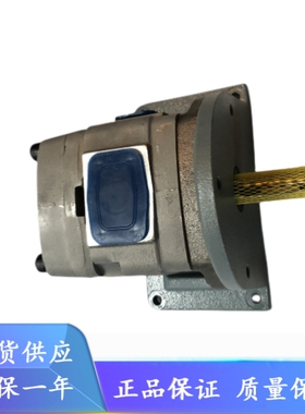 IPH-4A/4B-20/25/32-L/E/LT/ET-20/11/21 日本NACHI不二越齿轮泵