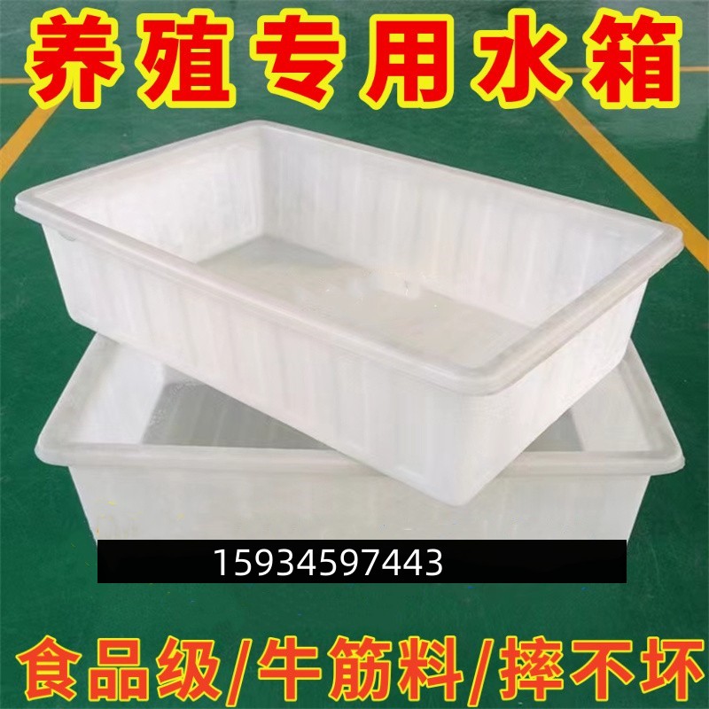 加厚牛筋塑料水箱长方形水产养殖箱卖鱼养鱼箱牛筋盆大储水桶水箱