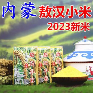 2023年新米黄小米内蒙古赤峰敖汉5斤真空食用小米粥米非山西沁州