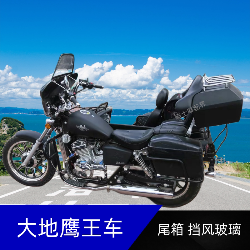 适用大地鹰王太子摩托车尾箱边箱dd150/250/400后备箱48l支架货架