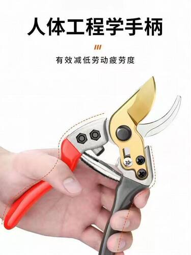 修枝剪日本进口SK5钢剪刀园林园艺果树粗枝专用强力花剪花艺剪子