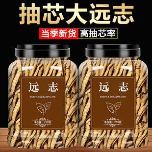 远志中药材正品远志去芯丸肉益智仁伸筋草中草药500克泡水的作用