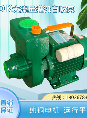 广东凌霄水泵ZDK/DK自吸自来水管道增压泵家用清水泵/220V