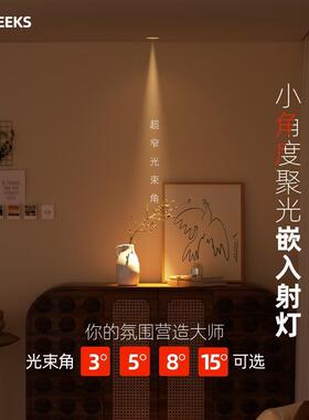 nameeks聚光射灯小角度光束角3度5度8度嵌入式饭厅玄关防眩天花板