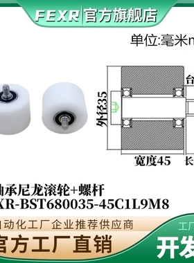 带螺杆BST680035-45C1L9M8尼龙塑料滚轮双轴承加宽输送带POM滑轮