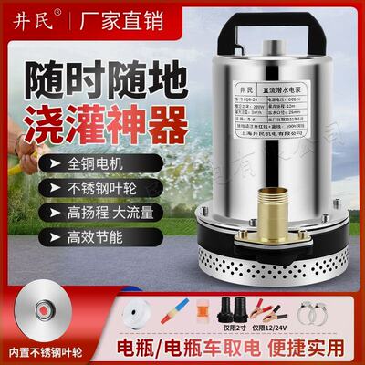 直流潜水泵电瓶车家用船