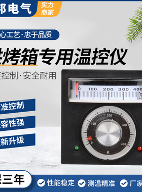 TED2001烘箱烤箱温控表 电饼铛温控仪开关指针温度控制器K300E400