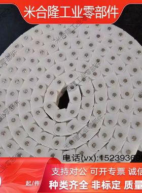 VMS01-40/60/40W工程塑料块环链链条CHEEC40W/CHEED60 CHEE40