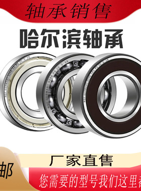 哈尔滨高速电机轴承6403 6404 6405 6406 6407 6408N ZZ 2RZ P5 C