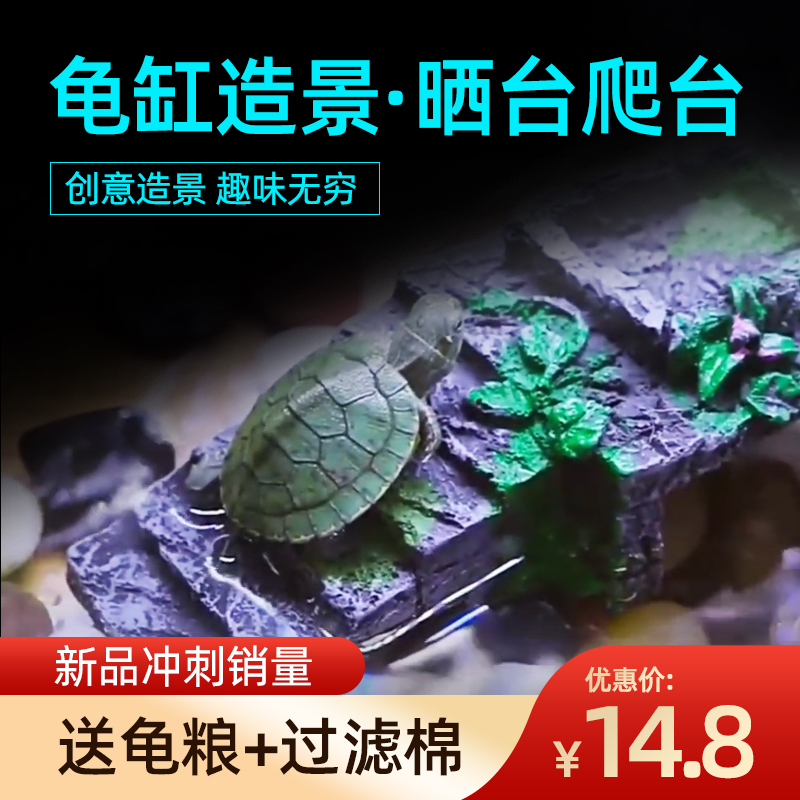 乌龟晒台小爬鱼缸造景躲