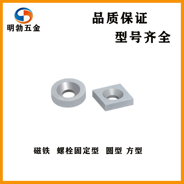 BLS67/BLS68-A8/A10/A12/A15/20/25-T2/3/4/5/5.5/6耐热磁铁