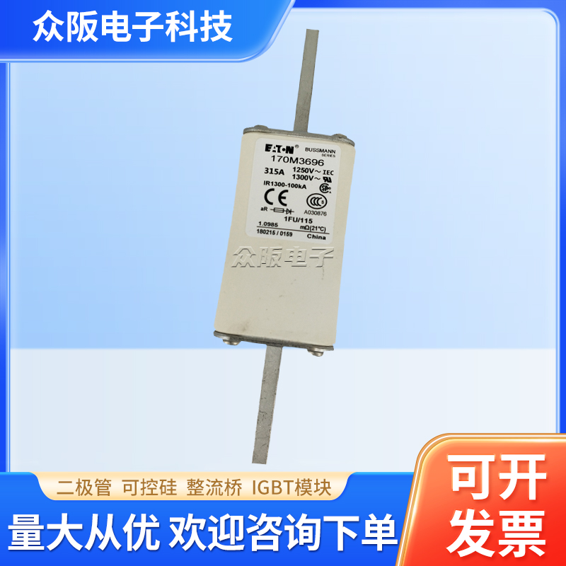 全新进口巴斯曼熔断器170M1408/170M2617/170M3693/170M4011/5144