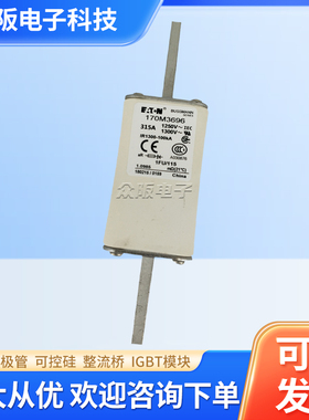 全新进口巴斯曼熔断器170M1408/170M2617/170M3693/170M4011/5144