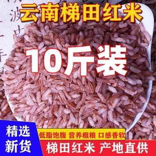 云南哈尼梯田紅米紅糯米軟米哈尼胭脂米大米10斤農家新米雜糧粥米