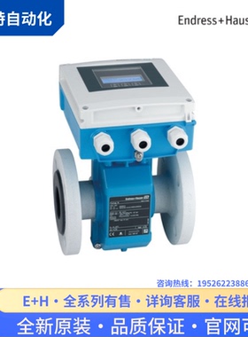 议价E+H恩德斯豪斯电磁流量计 5W4C40-4HD2/0 5W4C40-AAELHA0AUD5
