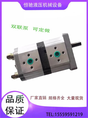 CBN-E310/E310双联泵 CBN-E325/E325 CBN-E316/E306 E316/E316