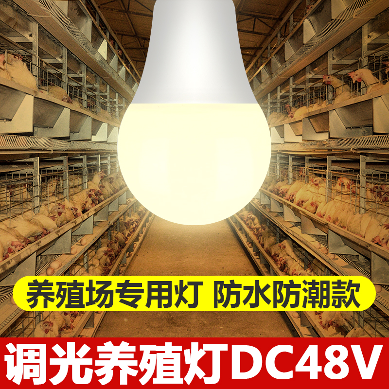 低压led直流DC48V伏可调光220V灯泡养鸡场照明防水家禽养殖专用灯