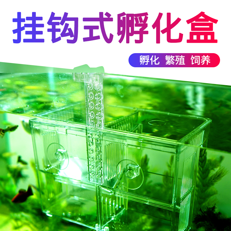 孔雀鱼孵化盒小鱼产卵盒凤尾小型鱼悬浮繁殖盒产房斗鱼鱼缸隔离盒