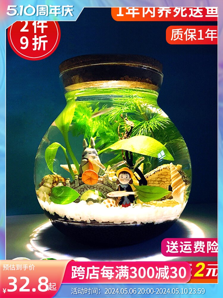 生态瓶微景观水族箱造斗