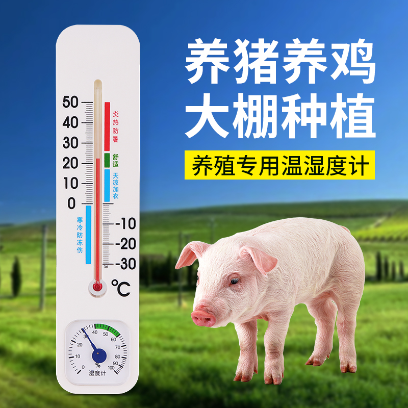 养殖专用温度计室内精准