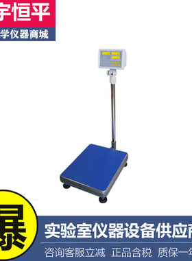 上海舜宇恒平MP100KC实验室计数天平计数电子秤100kg/5g