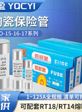 RO15熔断器10*38陶瓷保险丝管1A6A10A16 32A熔芯RT18 RT14 R016