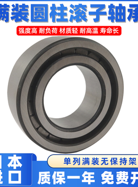 日本进口满装圆柱滚子轴承大全NJG2313VH SL192313【65*140*48】