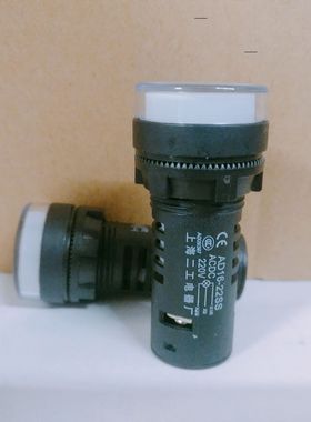 LED高亮电源指示灯双色型信号灯 AD16-22D/SS 红R绿G 220V
