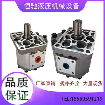 液压齿轮泵CBN-F532 CBN-F563 CBN-F525 CBN-F580 CBN-F550油泵