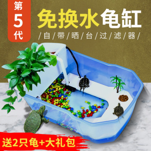 。养甲鱼容器王八的专用缸养殖箱盒子笼子小乌龟盆景巴西龟带晒台