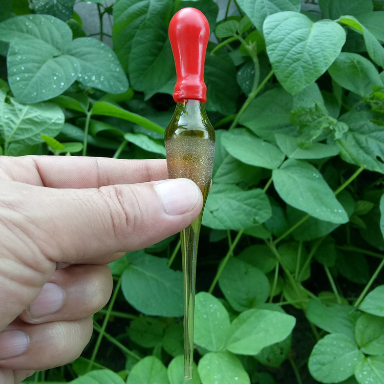 配滴瓶管棕色吸红皮头教