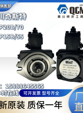 新款VVP20B/55 VVP30B/55 VVP40B/70自动变量叶片泵现货