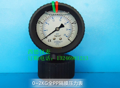 充油防震全塑隔膜压力表