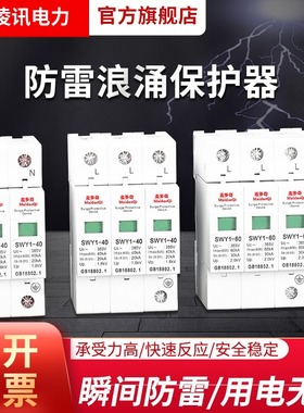 配电柜浪涌保护器220V光伏专用电涌避雷器2P20KA40KA60KA防雷接地
