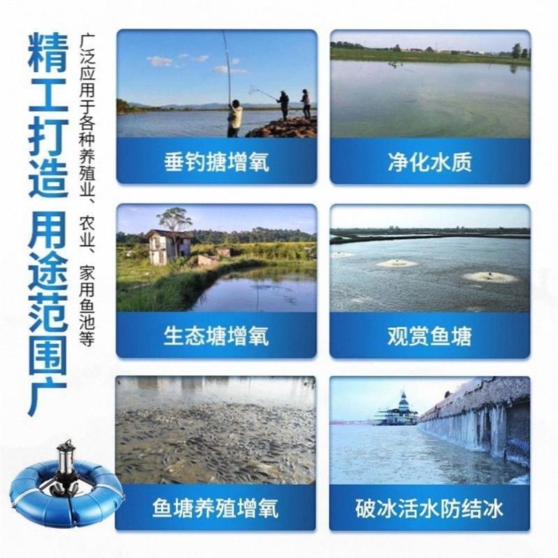 大型增氧泵家用鱼池养专