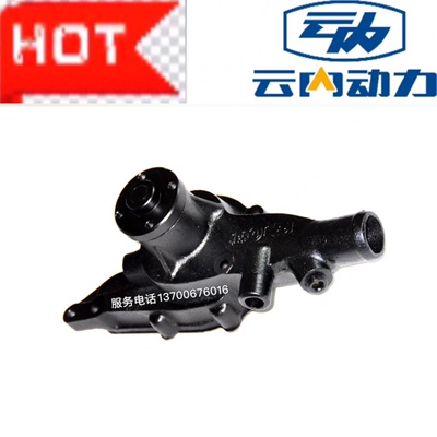 云内柴油发动机冷却泵水