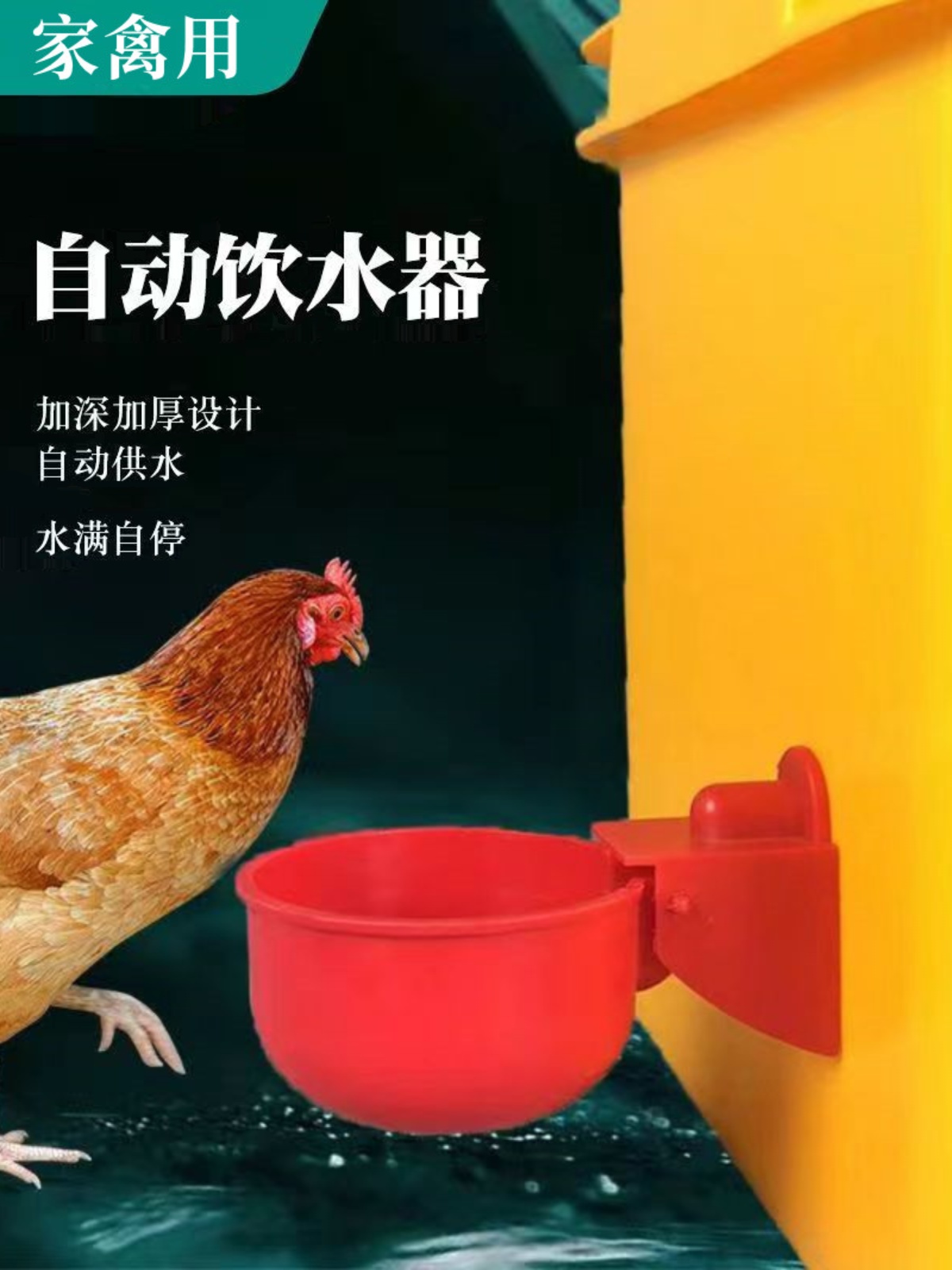 鸡鸭鹅自动水碗饮器养殖
